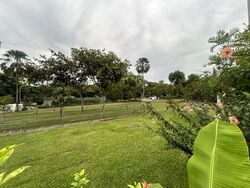 Jalan Loyang Besar (D17), Terrace #509654671